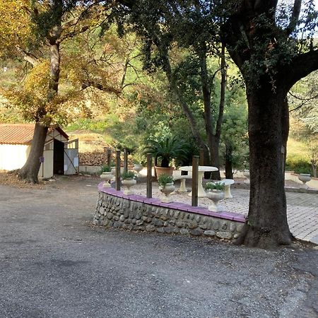 Domaine Des Anges Aparthotel Amelie-les-Bains-Palalda ภายนอก รูปภาพ